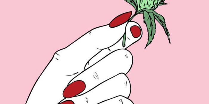 1000x992 Legalization of Marijuana — BLOG — Create + Cultivate