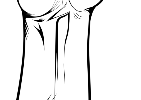 494x1615 Blunt Joint Cannabis smoking Hand - marijuana joint png download