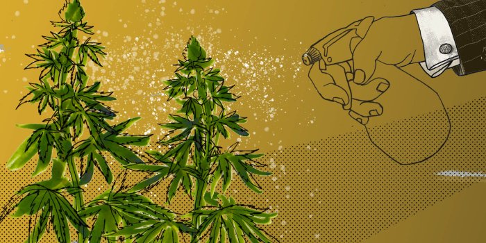 2048x1152 Are investment returns from cannabis just a pipe dream? | Financial