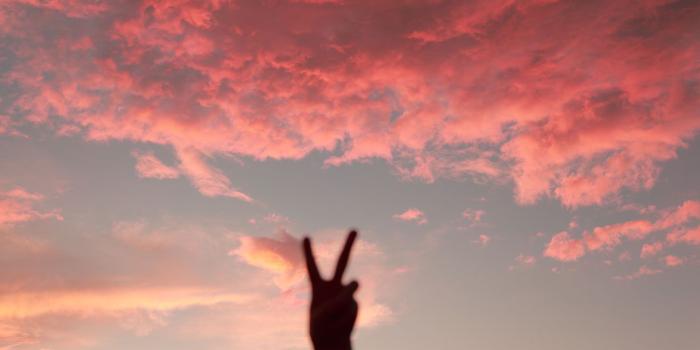 1300x867 Free peace sign wallpaper Gallery