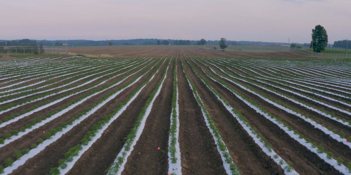 1920x1080 48North – 48North is a vertically integrated licensed producer