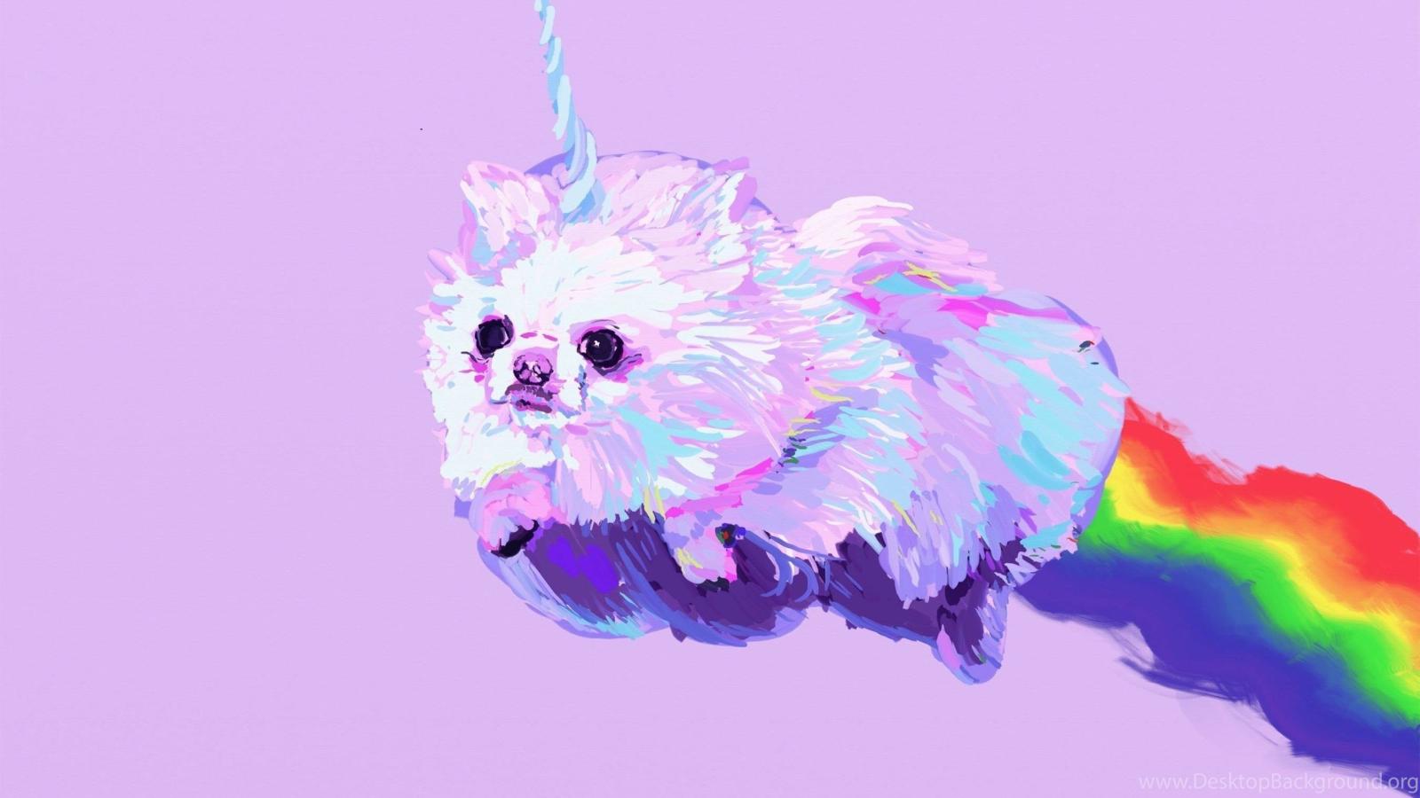 2560x1440 POMERANIAN Dog Dogs Fantasy Unicorn Desktop Background
