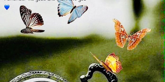 1242x1866 Iifeasiknowit on love & loving in 2019 | Butterfly pictures