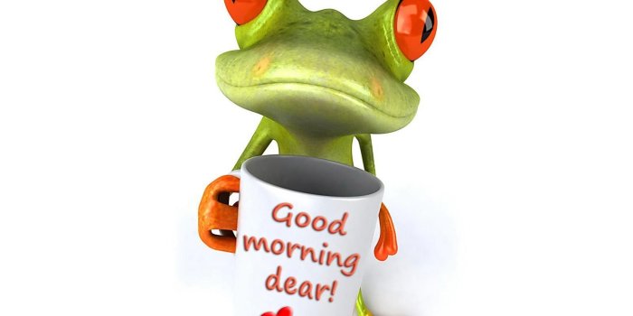 1600x1200 Good morning funny wallpapers and images | HD Wallpapers Rocks