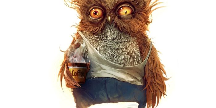 1280x1024 Wallpaper funny good morning owl | Funny pictures and quotes
