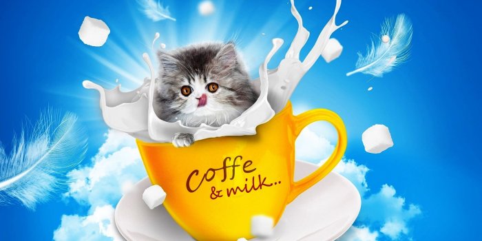 1920x1200 3052-Good-Morning-Coffee-Funny-Wallpapers-Download-Facebook-Whatsapp