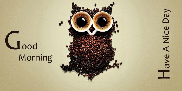 1920x1080 Good Morning With Funny Hd (#789989) - HD Wallpaper Download