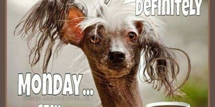 2000x1884 Good Morning Monday Quotes Funny • Opzetzwembadshop.nl