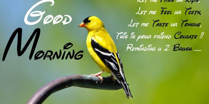 1600x1000 Vilasspatil2009 22722272 on Hindi Quotes | Good morning