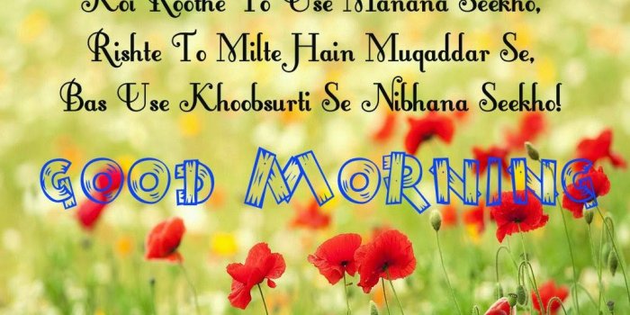 1024x768 Funny Good Morning Images Free Download Wallpapers