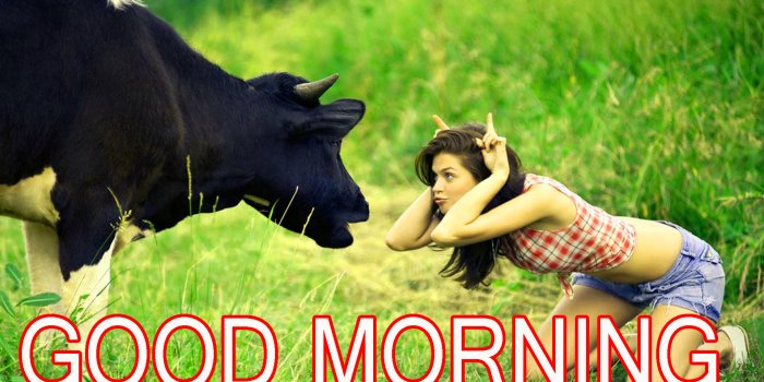 1920x1080 Funny Good Morning Images Wallpaper Photo Pics – फनी गुड