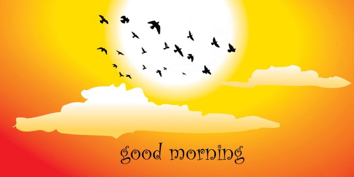 1920x1080 Good Morning Images Pictures | Good Morning HD Wallpapers Cover pics