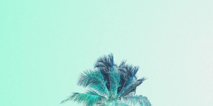 1080x1920 Mint Green iPhone Wallpaper (60+ images)