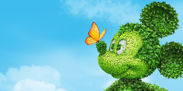 1920x1080 66+ Cartoon Spring Wallpapers on WallpaperPlay