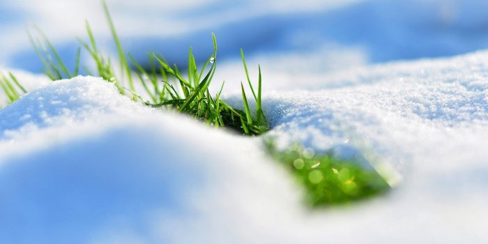 1920x1080 Cute Spring 1920x1080 Desktop Wallpapers (55+ images)