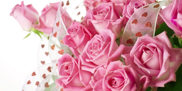 2560x1600 Pink Roses Desktop Wallpapers - Wallpaper, High Definition, High