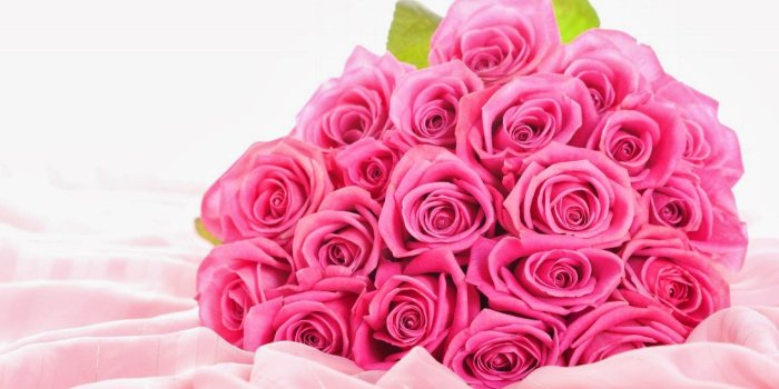 1600x1000 unityopportunity: Pink Rose Bouquet Wallpapers