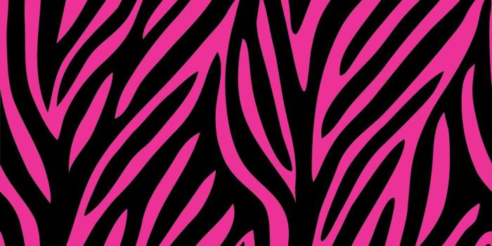 1024x1024 40+ Hot Pink Zebra Wallpapers - Download at WallpaperBro