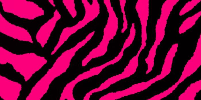 1032x774 40+ Hot Pink Zebra Wallpapers - Download at WallpaperBro