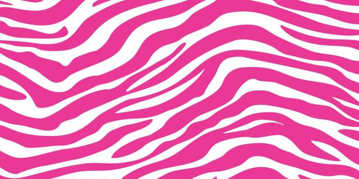 1366x768 40+ Hot Pink Zebra Wallpapers - Download at WallpaperBro