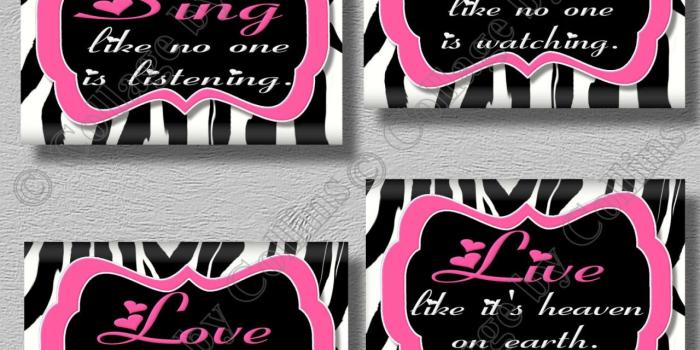 1280x1024 Download Hot Pink Zebra Wallpaper Border Hot pink zebra print dance