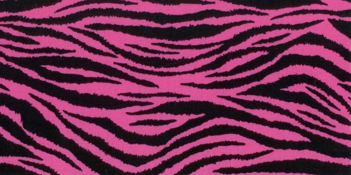 1500x1158 Free download jpeg hot pink zebra print borders 500 x 500 202 kb png