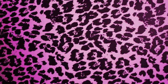 1944x1296 40+ Hot Pink Zebra Wallpapers - Download at WallpaperBro
