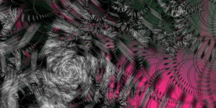 1280x1000 40+ Hot Pink Zebra Wallpapers - Download at WallpaperBro