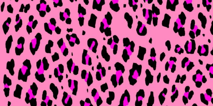 1280x1024 40+ Hot Pink Zebra Wallpapers - Download at WallpaperBro