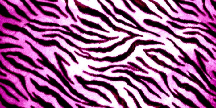 1280x800 45+ Hot Pink Leopard Wallpapers - Download at WallpaperBro