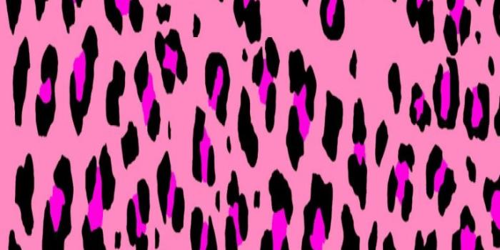 768x1280 40+ Hot Pink Zebra Wallpapers - Download at WallpaperBro