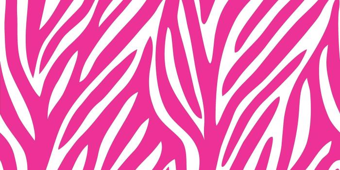 1920x1200 Pink and Black Zebra Wallpapers - Top Free Pink and Black Zebra