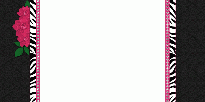 1600x1000 Pink and Zebra Print Border | Free Wallpaper