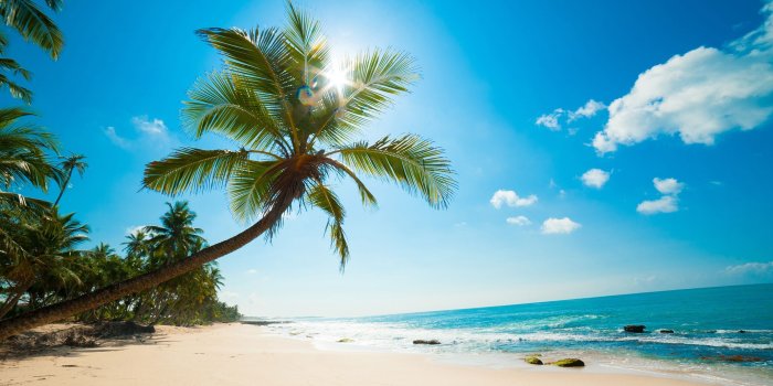 2560x1440 50+ Bahamas Caribbean Beach Wallpapers - Download at WallpaperBro