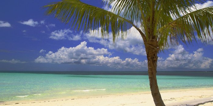 1024x768 46+] Bahamas Beaches Wallpaper on WallpaperSafari