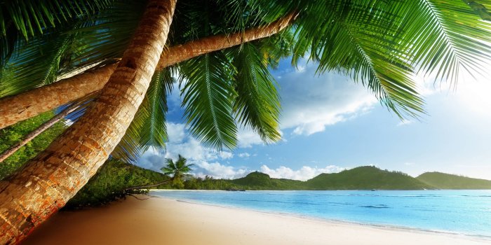 2560x1600 Download These 42 High Res Caribbean Wallpaper Backgrounds Here For Free