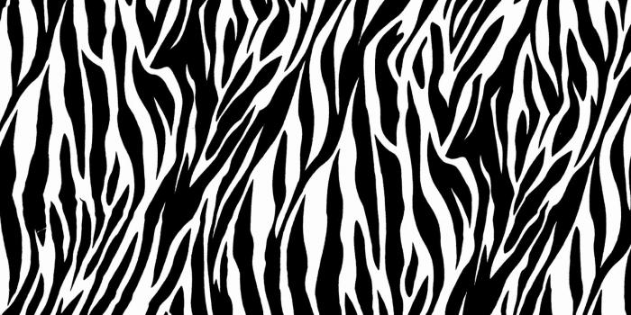 1920x1200 50+ Pink and Purple Zebra Wallpapers - Download at WallpaperBro