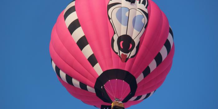 5184x3456 pink and Zebra Print hot air balloon photography during daytime free