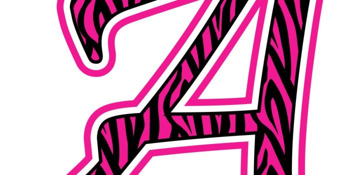 1200x1326 Zebra And Cheetah Wallpapers Clipart | Free download best Zebra And