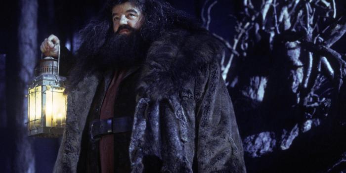 2100x1369 The Sorcerer's Stone images Harry Potter and The Philosopher's Stone