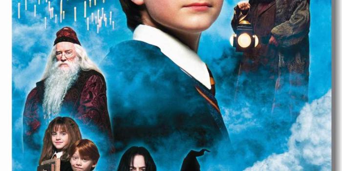 1000x1449 Custom Canvas Wall Prints HP Movie Poster Magic World Wall Sticker