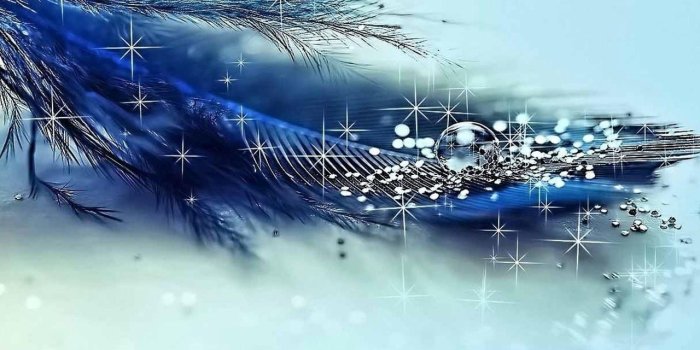 1280x1050 Top 10 Punto Medio Noticias | Blue Diamond Logo Hd