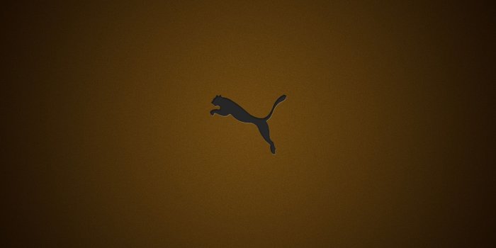 2560x1440 HD wallpaper: animales, depredador, felino, puma | Wallpaper Flare