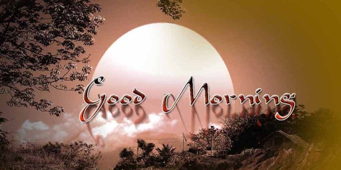 1024x768 Fresh Animated Good Morning Wallpaper Hd | Anime Wallpaper