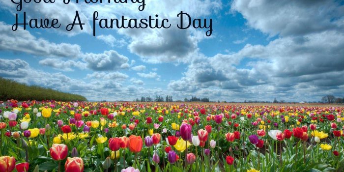 2560x1600 Good morning Wishes With Flowers Images