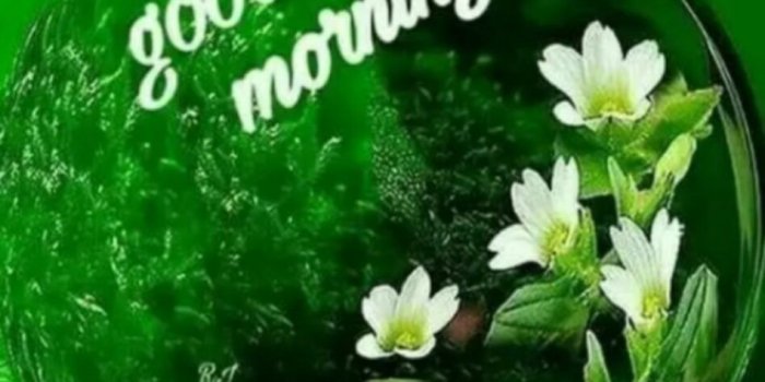 948x1024 101 Good Morning Images Pictures , Photos For Whatsapp & Fb Download