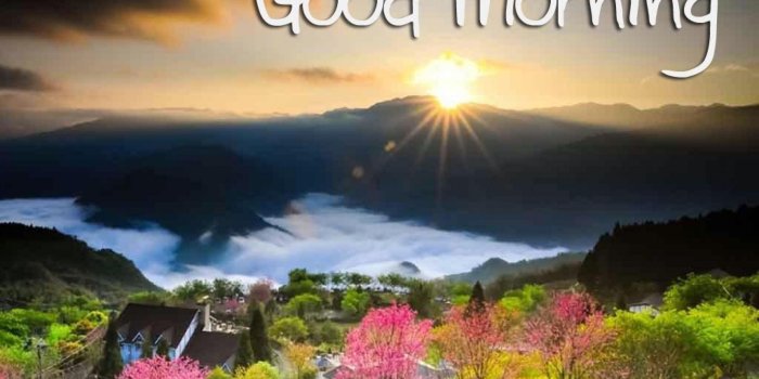 1920x1440 Good Morning Wallpapers for Android - APK Download