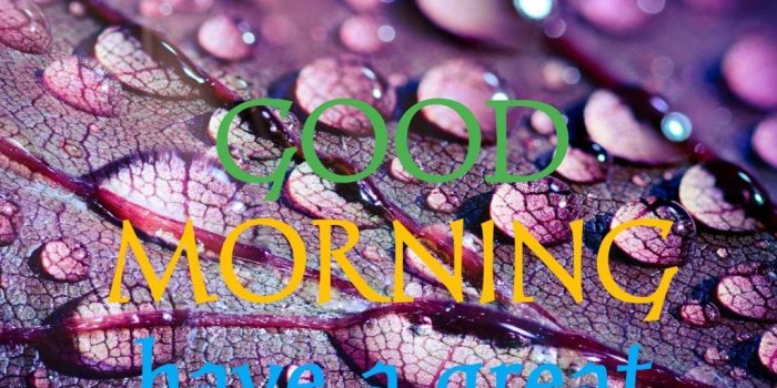 1024x1024 Good Morning Images: Free Download Beautiful Good Morning Images in