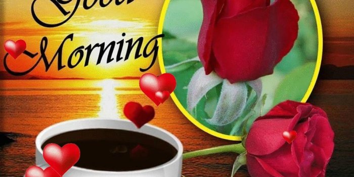 960x893 Fresh Animated Good Morning Wallpaper Hd | HD Wallpaper