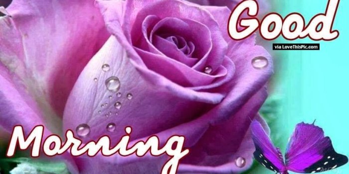 960x960 Tuesday Good Morning Wallpaper Group (68+), Download for free